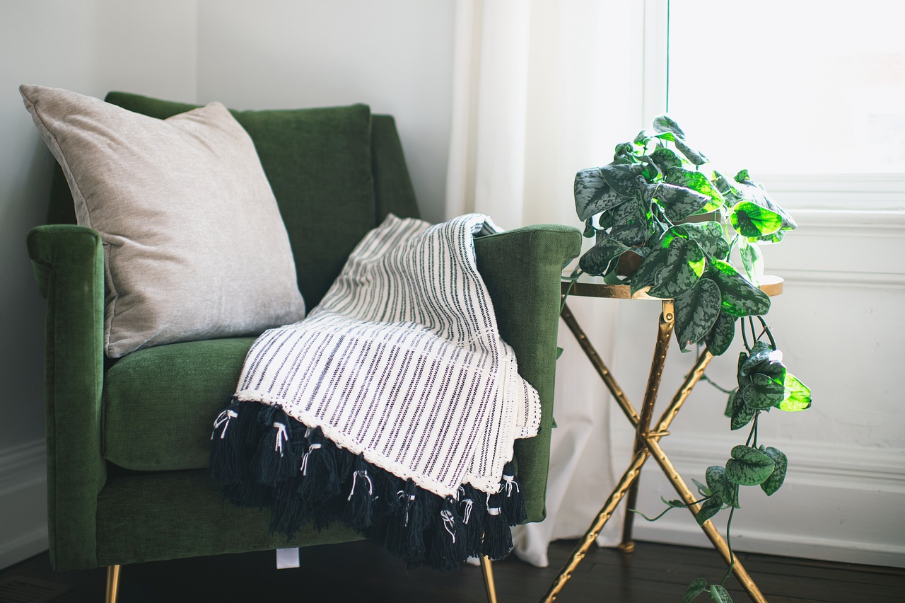 Chair Home Room Plant Ivy  - Space_Zandria / Pixabay