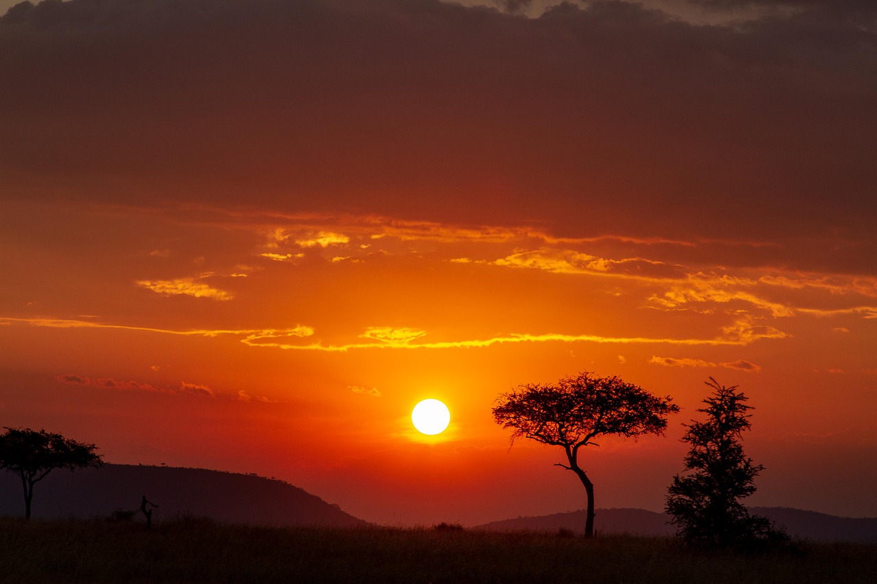 Africa Serengeti Tanzania Safari - patrickgregerson / Pixabay