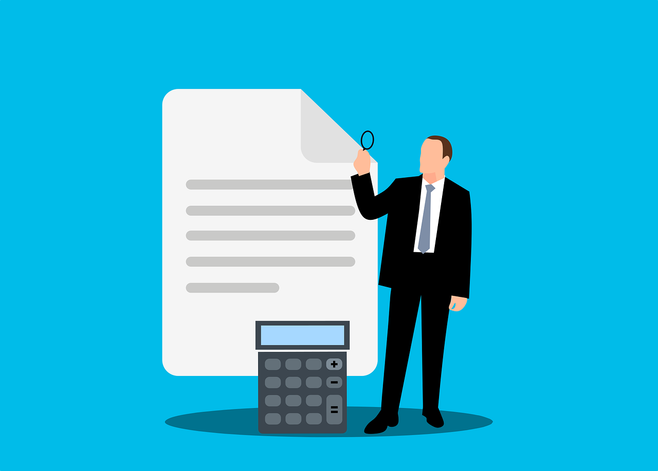 Business Calculation Finance Audit  - mohamed_hassan / Pixabay