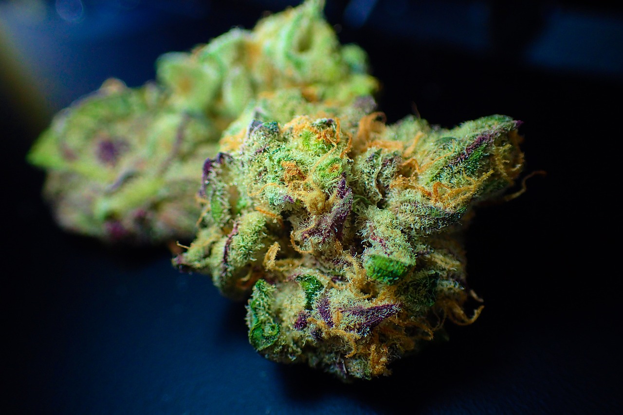 bud, cannabis, close up