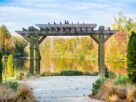wedding, reception, park, city, outdoor, arch, pergola, reflection, water, pond, trees, autumn, celebration, wedding reception, marriage, decoration, elegant, event, romance, banquet, place, formal, wed, catering, wedding table, décor, town, playground, outdoors, landscape, fall, colonel francis beatty park, charlotte, nc, north carolina, pergola, pergola, pergola, pergola, pergola