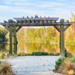 wedding, reception, park, city, outdoor, arch, pergola, reflection, water, pond, trees, autumn, celebration, wedding reception, marriage, decoration, elegant, event, romance, banquet, place, formal, wed, catering, wedding table, décor, town, playground, outdoors, landscape, fall, colonel francis beatty park, charlotte, nc, north carolina, pergola, pergola, pergola, pergola, pergola