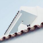 cat, nature, city, roof, look at, pet, watch, animal, animals, mallorca