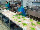 kitchen, help, worker, preparation, preparing, table, sink, interior, institutional, workers, worker, worker, worker, worker, worker, table, workers, workers, workers, workers